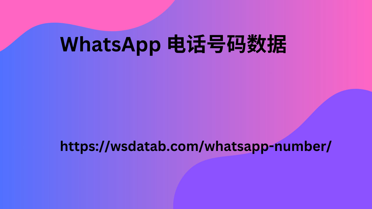 WhatsApp 号码数据